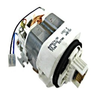Brush Motor 120V, 200W with pulley for ET-2